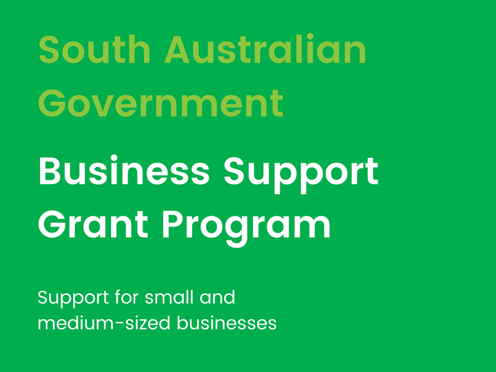 Business Support Grant Program to support small and medium-sized businesses